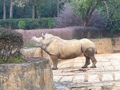 -杭州野生动物世界