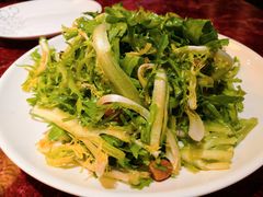 凉拌苦菊-馋嘴蛙火锅