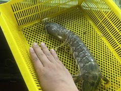 -班赞海鲜市场