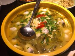 -陈麻婆豆腐总店