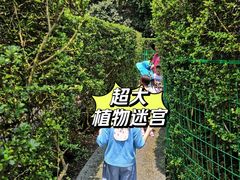 -大屏嶂森林公园