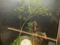 -浩运海鲜·16年专注青岛菜(石老人店)