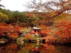 -醍醐寺