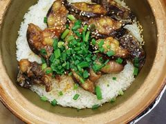金牌塘鲺煲仔饭-红星光发煲仔饭(文海店)