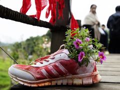 -梧桐山风景名胜区