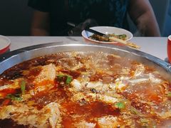 -蜀滋香鲜鱼美蛙火锅(339店)