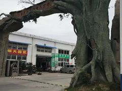 -龙大花卉苗木市场