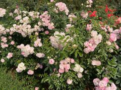 -人民公园(罗湖区)