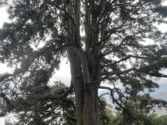 -终南山南五台景区