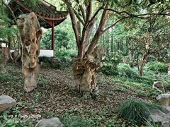 -上海醉白池公园