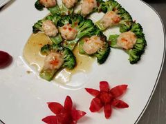 -大班家政月嫂育儿嫂(深圳NO.1店)