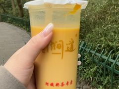 -阿姨奶茶专卖(舌涧道杭州惠民路创始店)