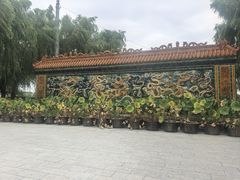 -白洋淀景区