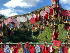 -西双版纳原始森林公园