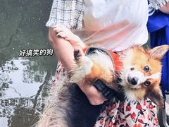 -千泷沟大瀑布旅游区