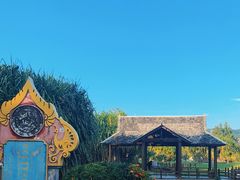 -中国科学院西双版纳热带植物园