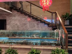 -饭怕鱼(阳光100店)