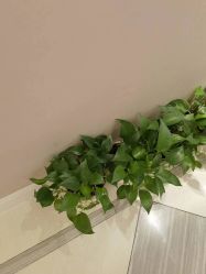 -蕾蕾美颜美容美体