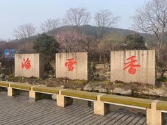 -香雪海