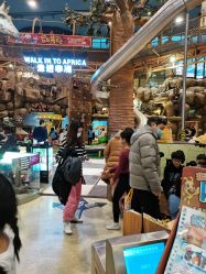 -卡通尼·Safari非洲探索乐园·生日会(金桥国际商业广场店)