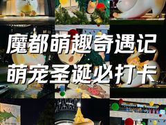 -上海尚嘉中心