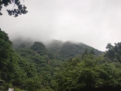 -水墨汀溪风景区