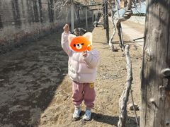 -呀路古热带植物园
