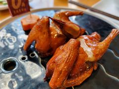 -大鸽饭(马王堆店)