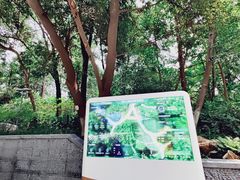 -成都市活水公园