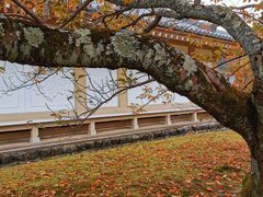 -醍醐寺
