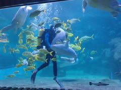 -左海海底世界