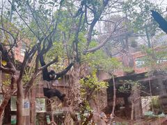 -长鹿旅游休博园
