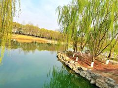 -大兴滨河森林公园