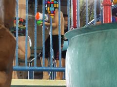 -南宫温泉水世界