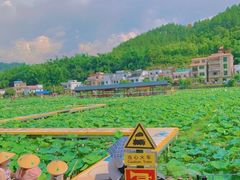 -红山村
