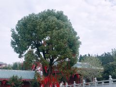 -莆田南少林寺