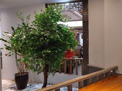 -秦汉胡同古筝围棋国学书院(罗湖分馆)