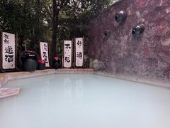-天目湖涵田半山温泉