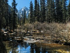 -白马王朗自然风景区