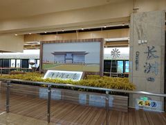 -长洲岛