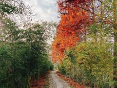 -西溪国家湿地公园