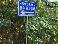 -HERRE·FARM 赫尔露营农场·团建聚会包场