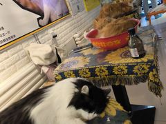 -平行世界·猫咖(首经贸店)
