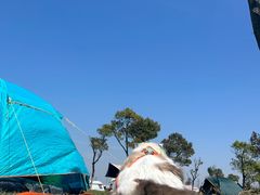 -春花秋色城市公园