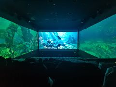 -CGV星星影城(颐堤港ScreenX店)