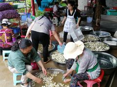 -双喜农庄·菌香园(安居家园店)