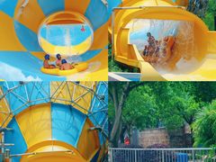 -重庆海昌加勒比海水世界