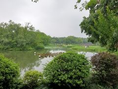 -西溪国家湿地公园