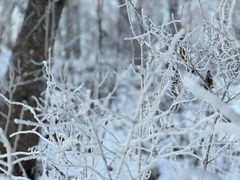 -峡谷浮石林景区