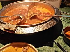 -牛New寿喜烧(金鹰世界店)